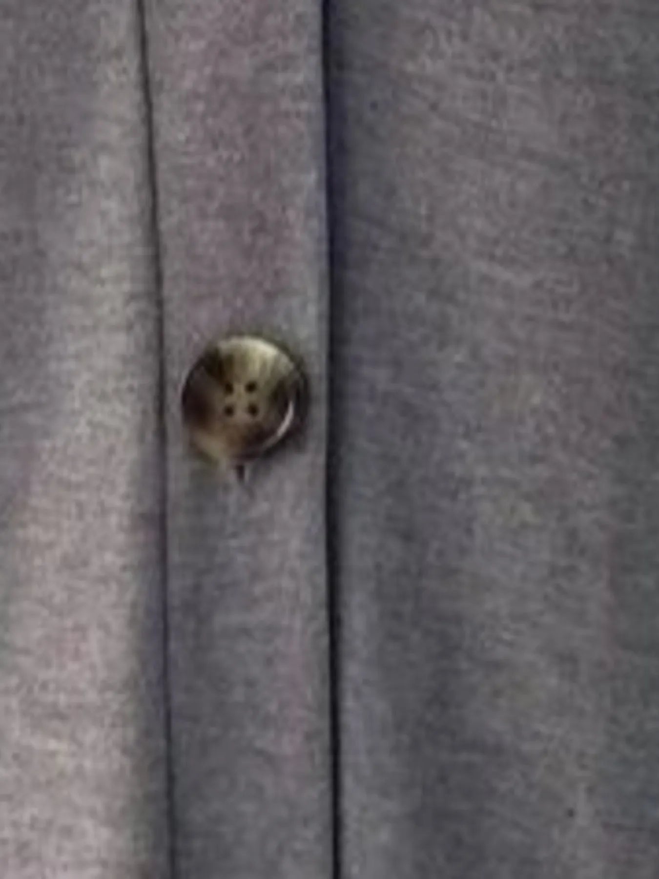 Close-up of a button on a gray textured fabric